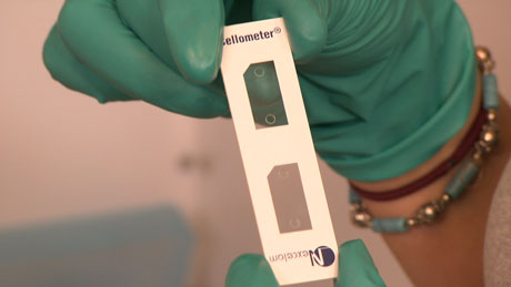 The folks at Avery Brewing Co. count their yeast